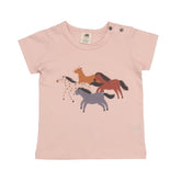 Baby Horses - Cotton (Organic)